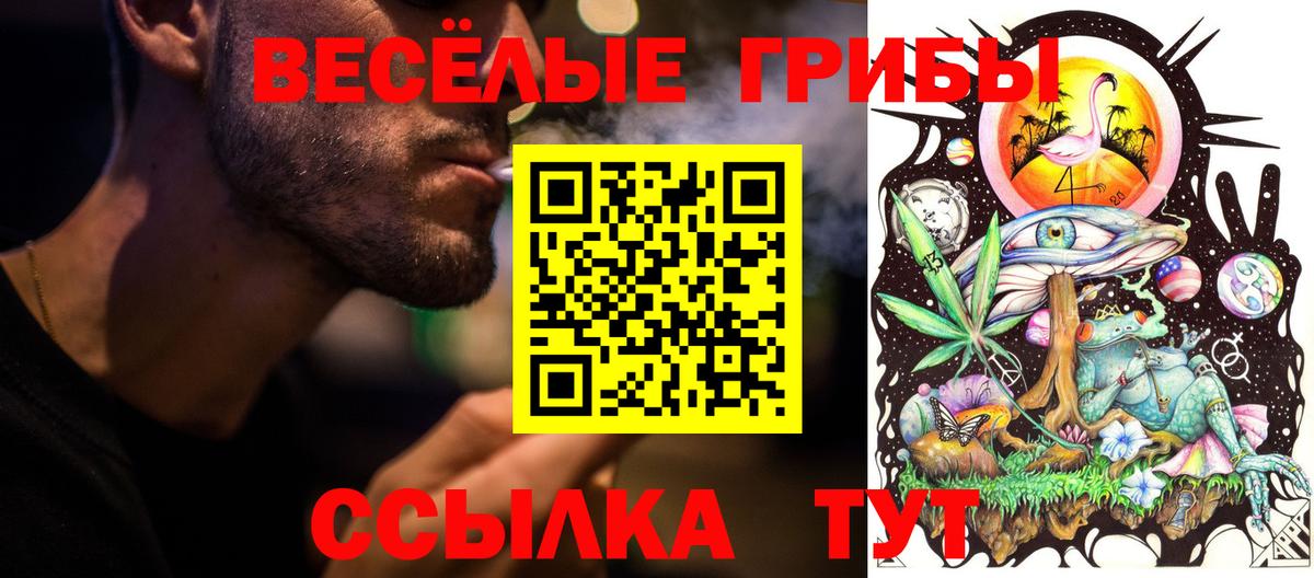 Галлюциногенные грибы Magic Shrooms Ставрополь