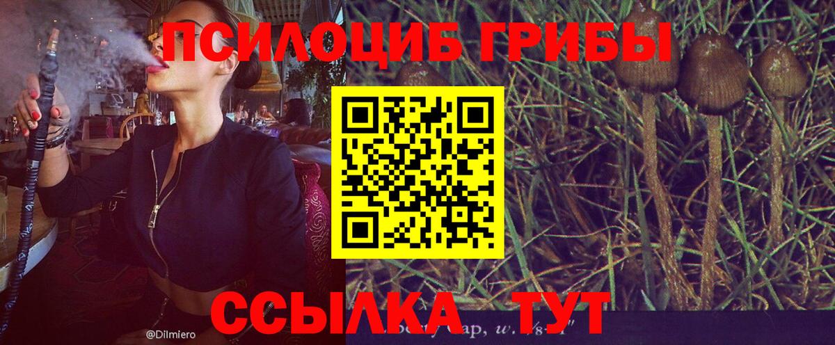 Псилоцибиновые грибы GOLDEN TEACHER  Галлюциногенные грибы прущие грибы  Ставрополь  Вход с VPN 